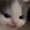 😏