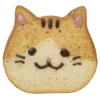 🐱