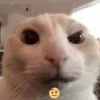 🤨