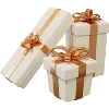 🎁