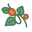 🌿