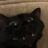 😃