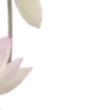 🌸