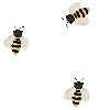 🍯