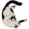😸