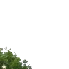 ⭐️