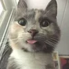 😋