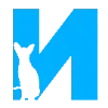 🐈‍⬛