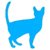 🐈‍⬛