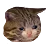 😭