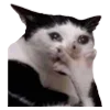 🫢