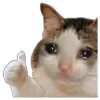 👍