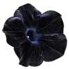 ♾