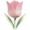 🌷