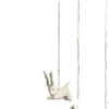 🐇