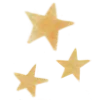 ✨