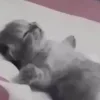 😵