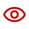 👁