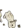 🐰