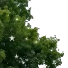 ⭐️
