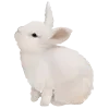 🐇