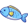 🐟