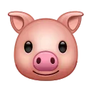 🐷