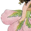 🌸