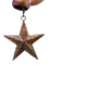 🌟