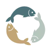 🐟