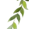 🌿