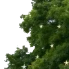 ⭐️