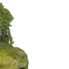 🪷