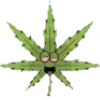 💥
