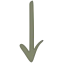 🌵