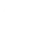 🚩