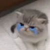 😭