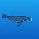 🐳