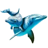 🐬