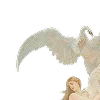 🦢