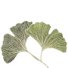 🌱