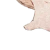 🍄‍🟫