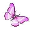 🦋