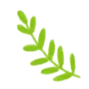 🌱