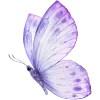 🦋