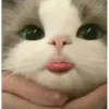 🤩