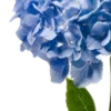 💙