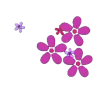 🌸