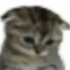 😔