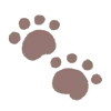 🐾